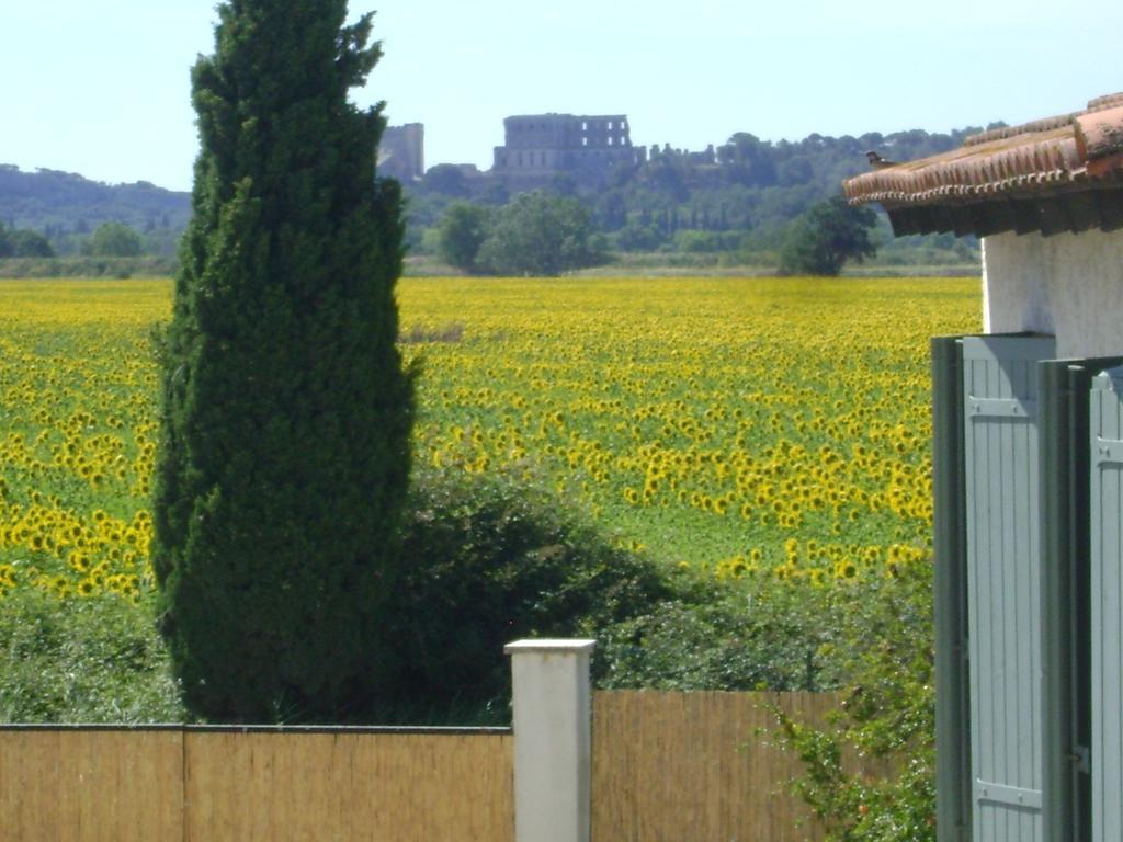 Logis Hotel Des Granges Arles Esterno foto
